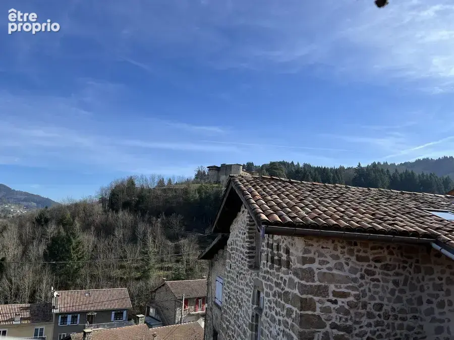 Maison en pierres dans quartier calme - photo 18