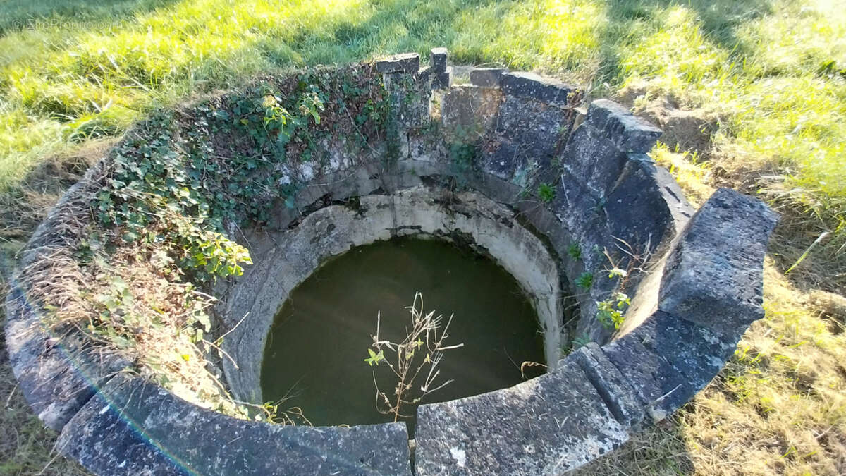 Grange sur 1 hectare en zonage Agricole / Loisirs STECAL ou Pastilles - photo 9