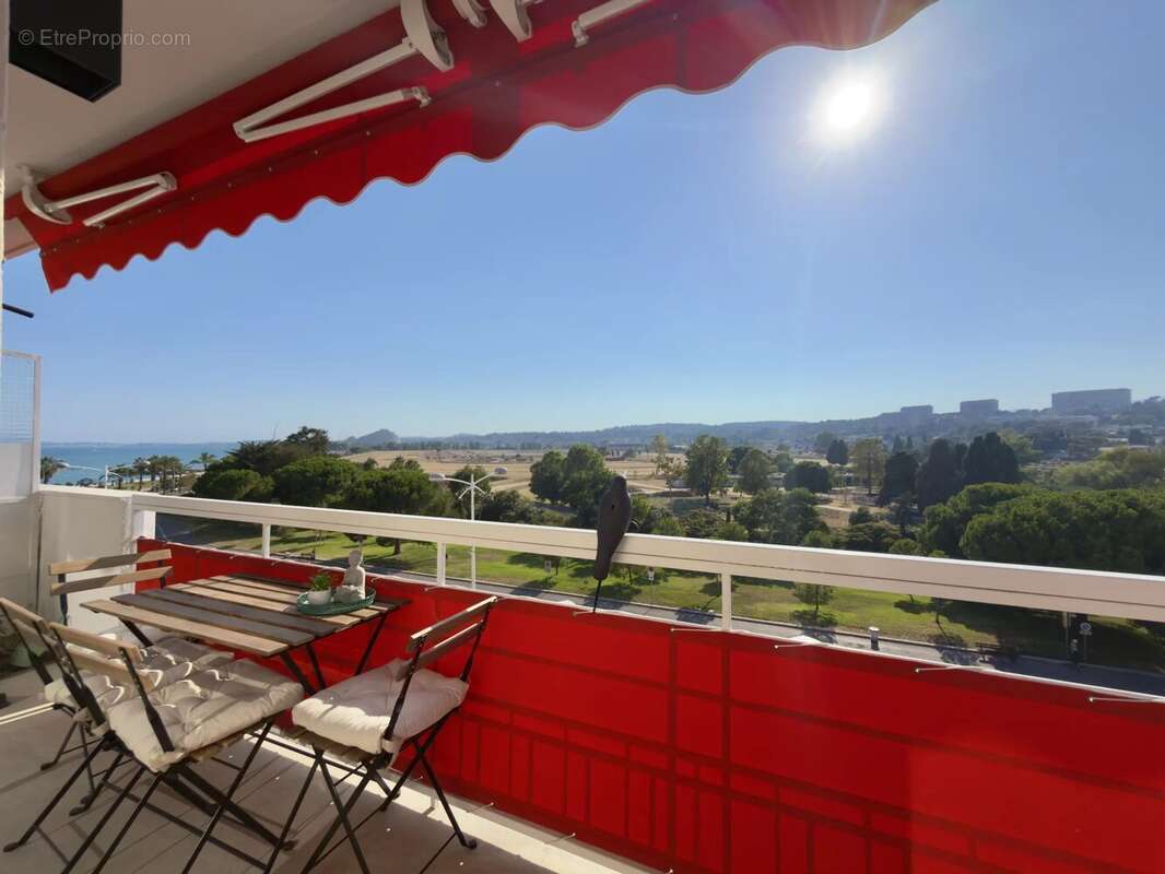 Cagnes-sur-Mer - Hippodrome - photo 12