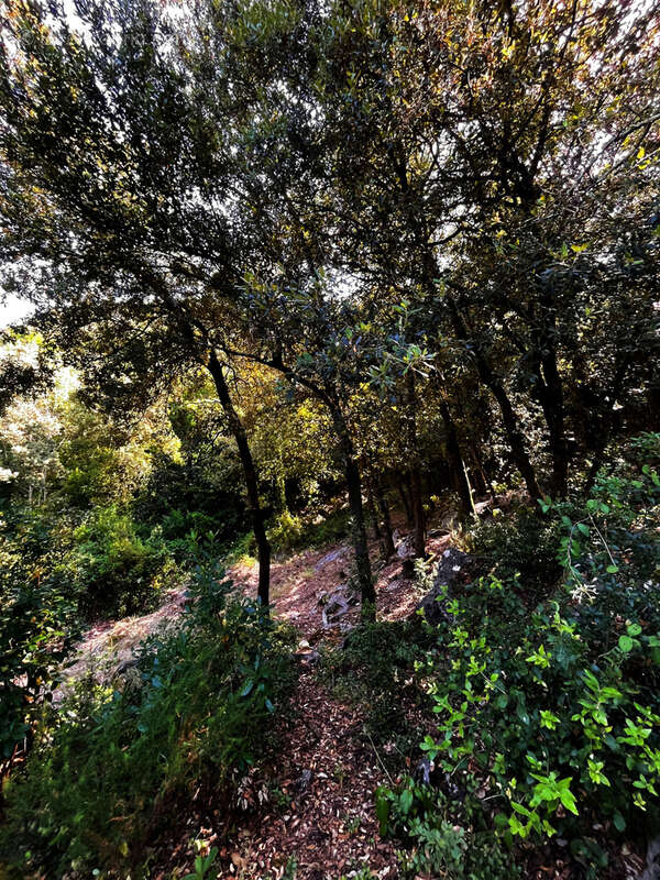 'Terrain constructible 1850m2 Vallée Heureuse Sorède   Calme, hors lotissement, très recherché !' - photo 3