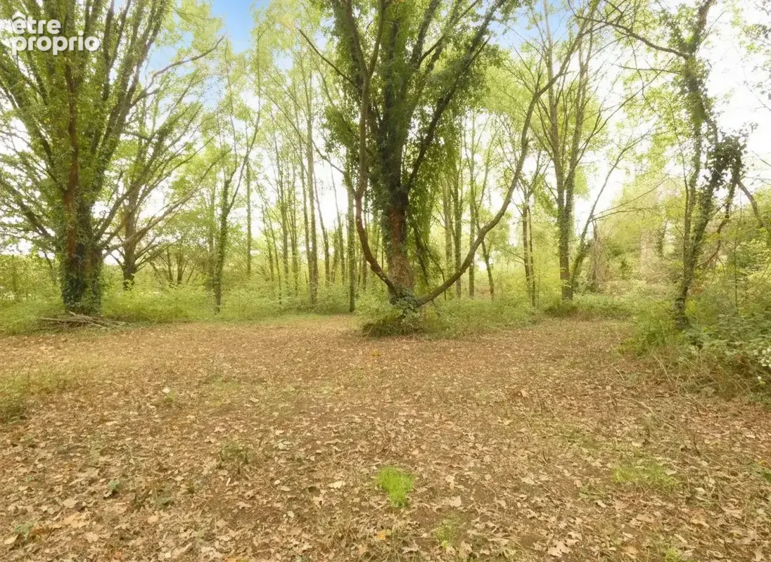 Maison 7 pièces 120 m² à vendre à Ouzouer-Sur-Loire (45570) - photo 9
