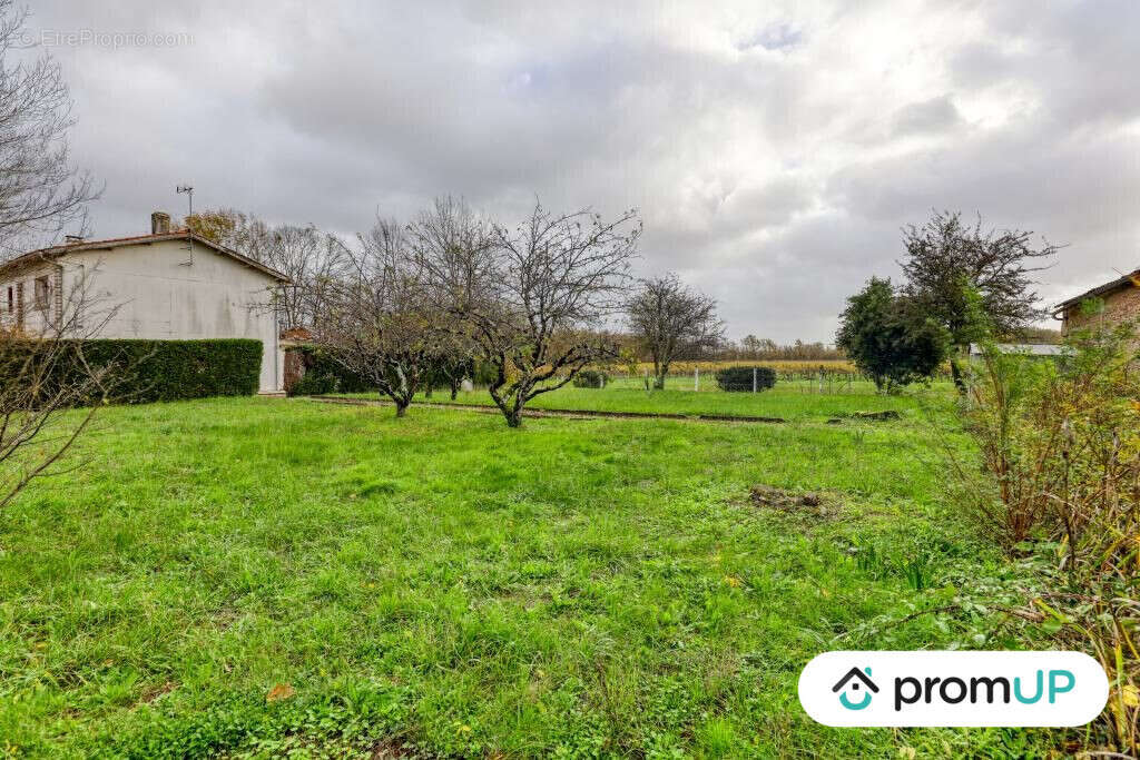 Terrain à BOUTIERS-SAINT-TROJAN