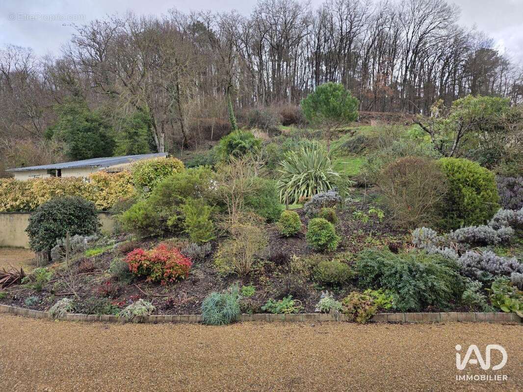 Photo 4 - Commerce à RIGNY-USSE