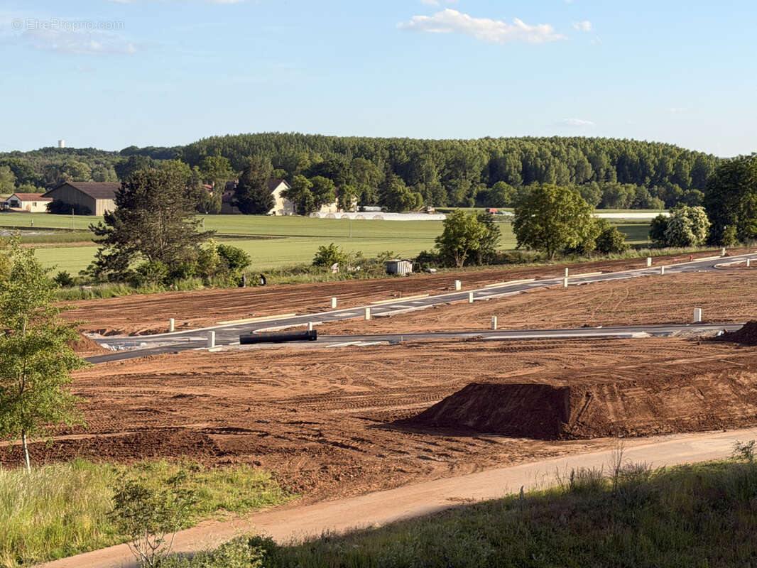 Terrain à MONTIGNY-LES-METZ