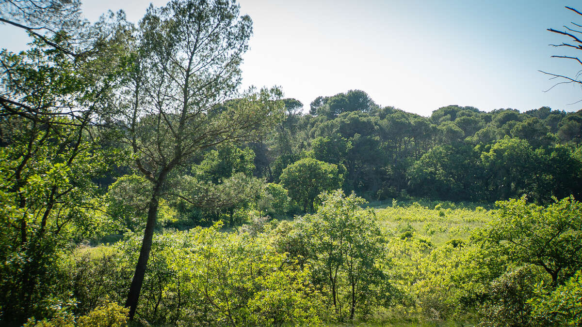 Maison à L'ISLE-SUR-LA-SORGUE