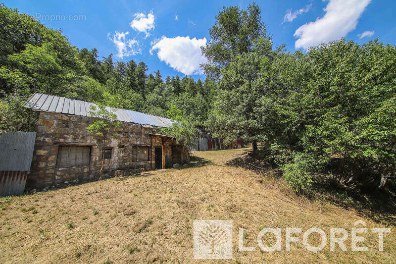 **muande + 7200 m² de terrain - embrun - photo 11