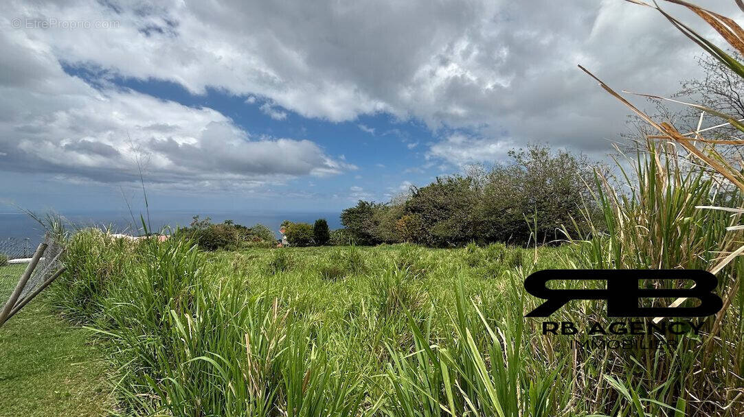 Terrain à LE CARBET