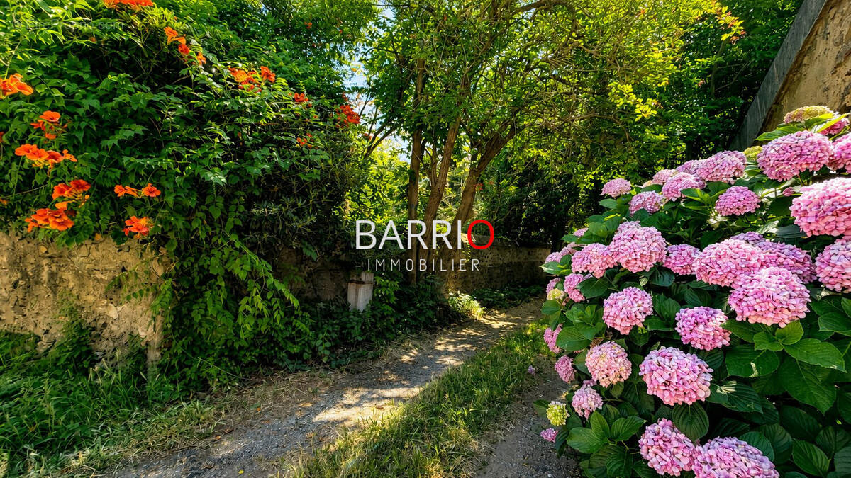 Appartement à BANYULS-SUR-MER