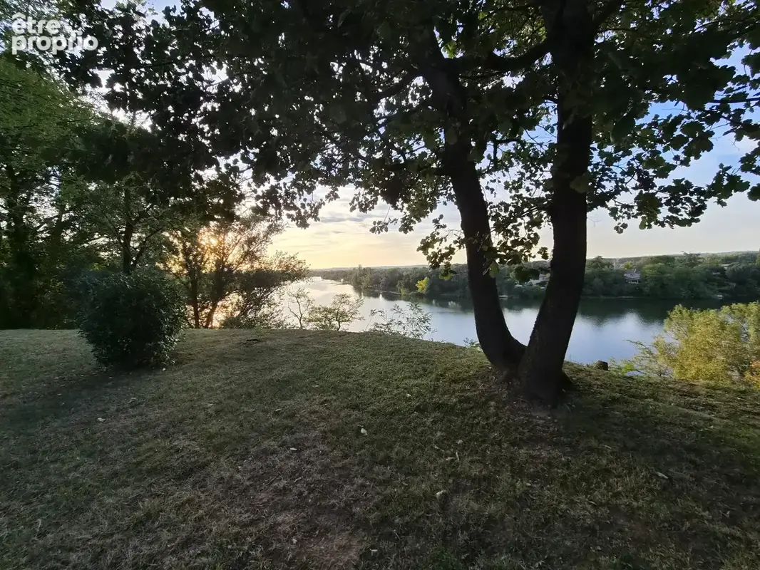 Charmante maison avec vue sur le Tarn, parc exceptionnel et piscine - photo 3