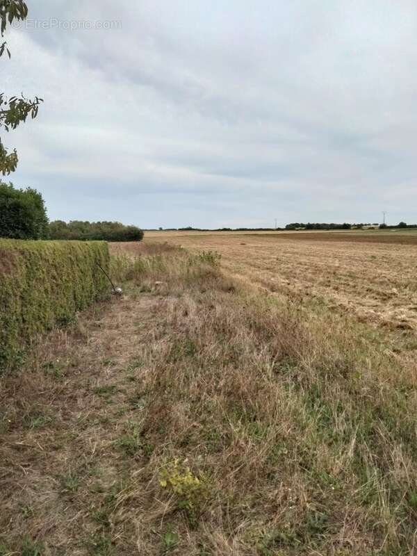 Terrain à YVERSAY