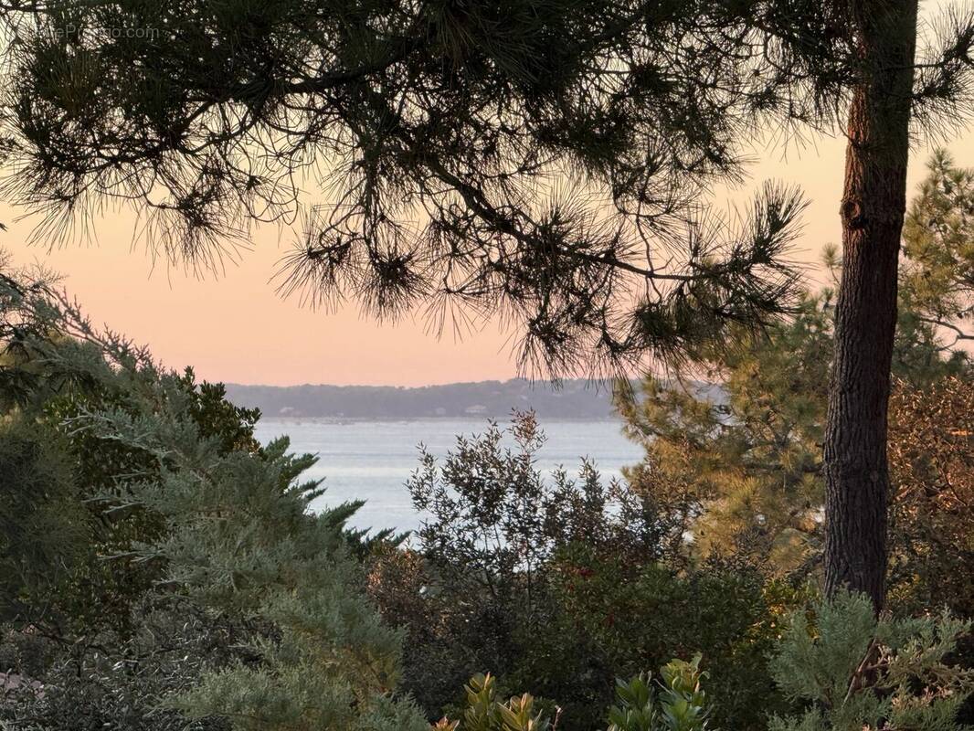 Maison à LE BOUSCAT