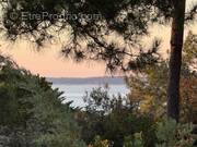 Maison à LE BOUSCAT