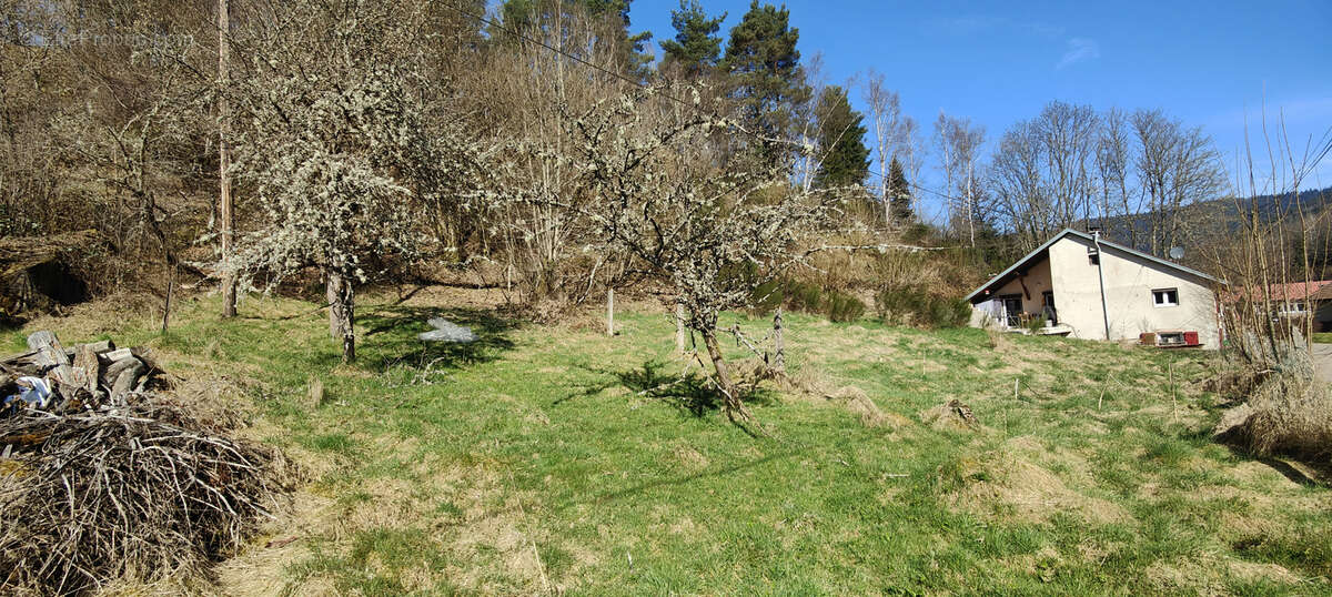 Champenay, commune de Plaine, terrain de 4.96 ares, au calme et aux abords de la forêt. - photo 2