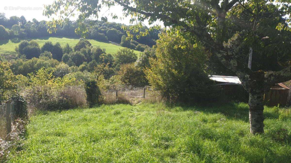 Maison à PIERRE-BUFFIERE