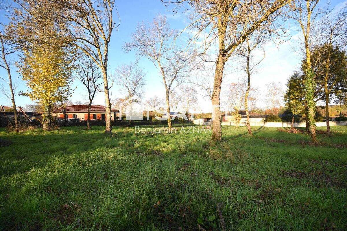 Photo 1 - Terrain à LASSERRE