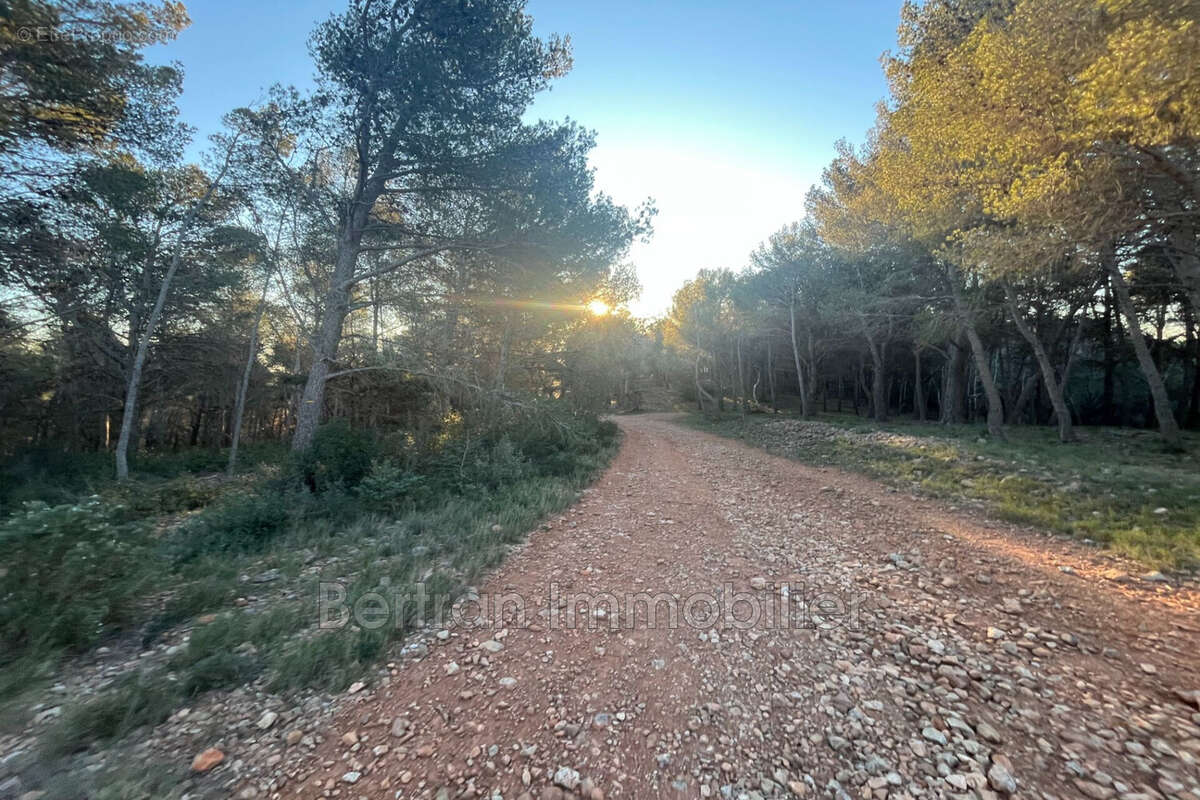 Terrain à ESPIRA-DE-L&#039;AGLY