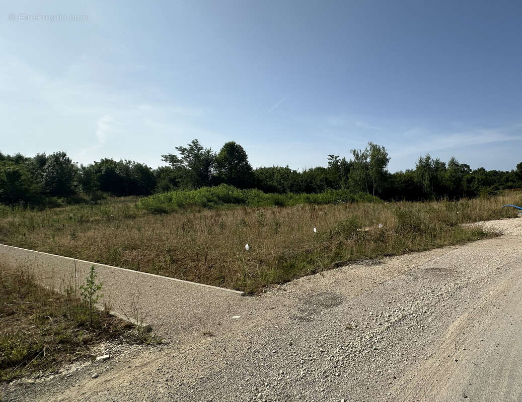 Terrain à SAINT-VIT