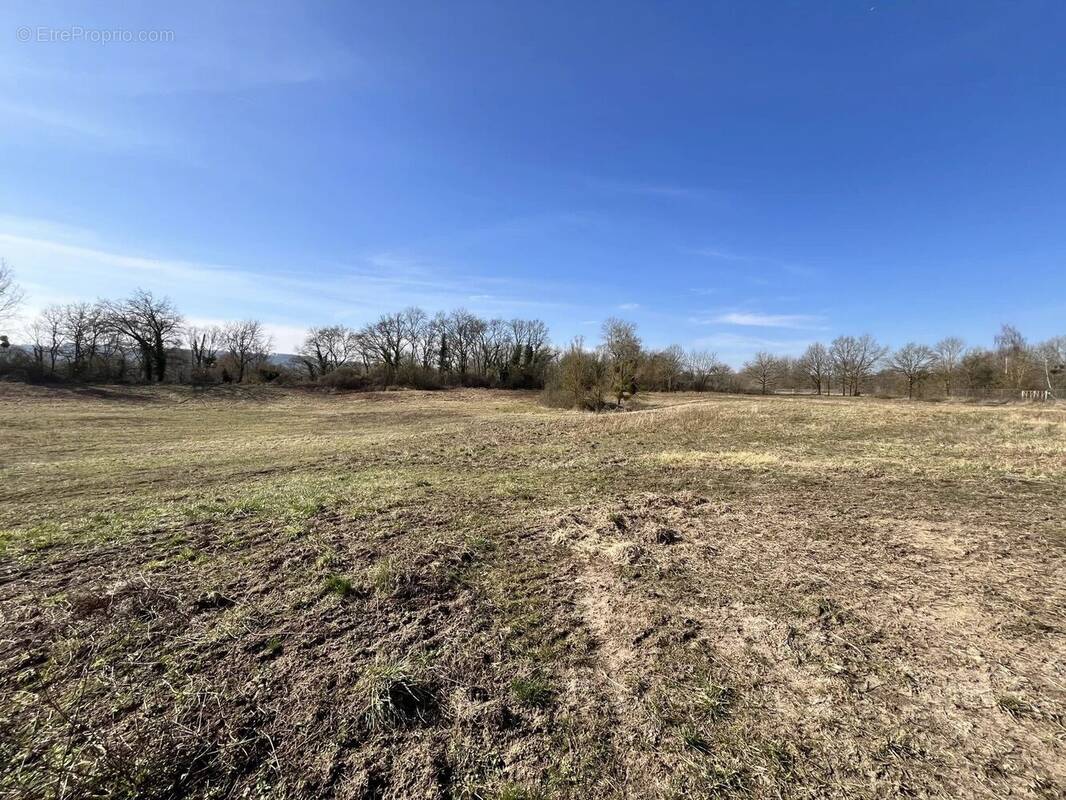 Terrain à BOURG-ET-COMIN