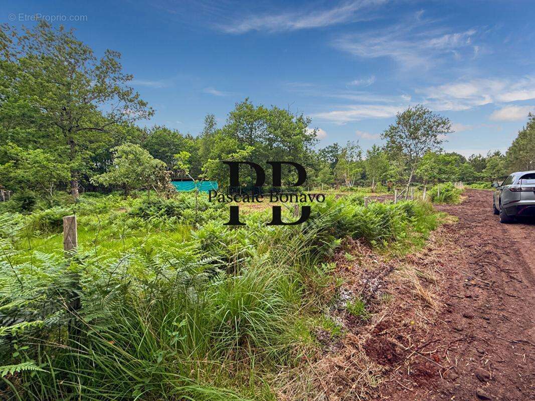 Terrain à VENDAYS-MONTALIVET