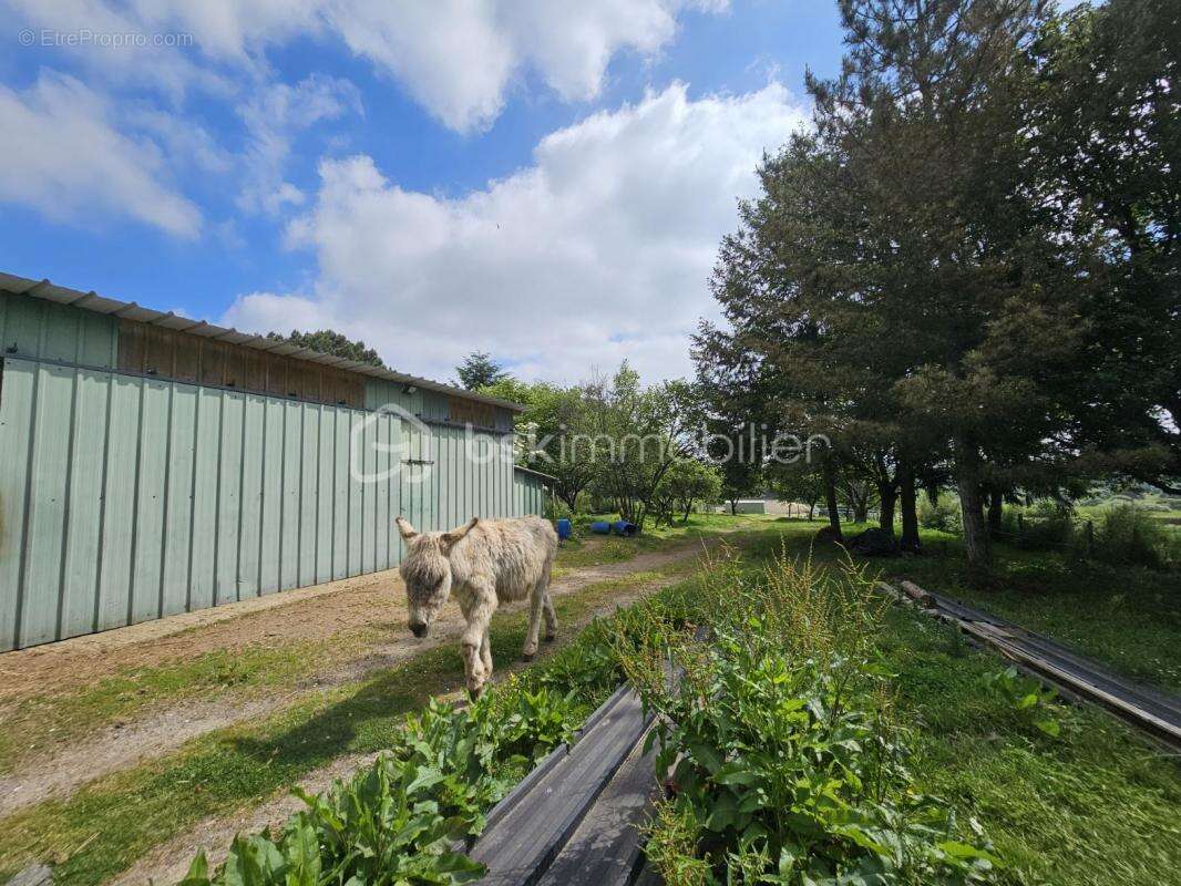Maison à SAINTE-MARIE