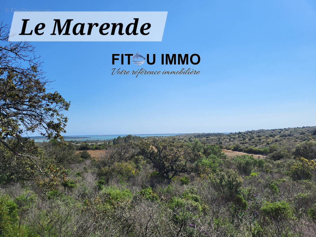 Terrain à FITOU