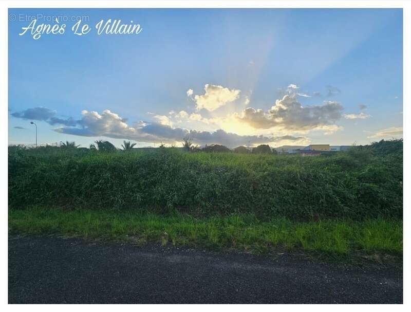 Terrain à SAINTE-ROSE