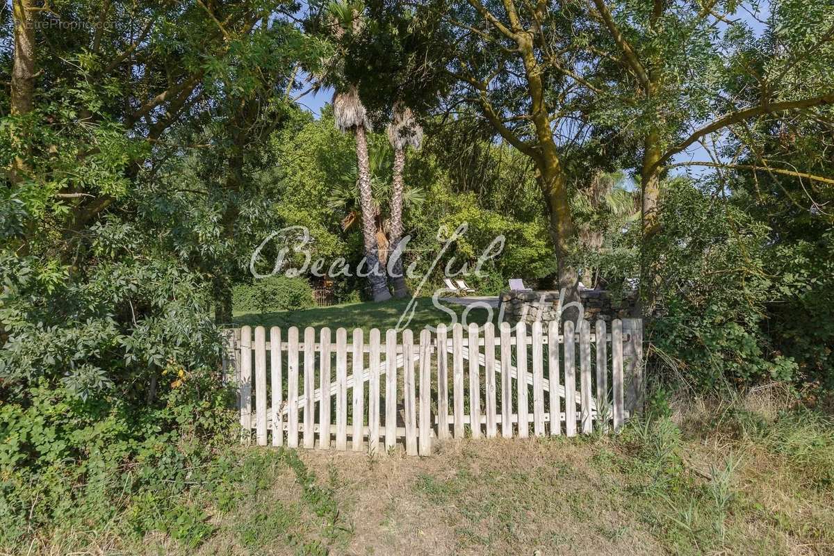 Sublime propriete, maison de maitre + gites, domaine de 11 hectares, narbonne - photo 19