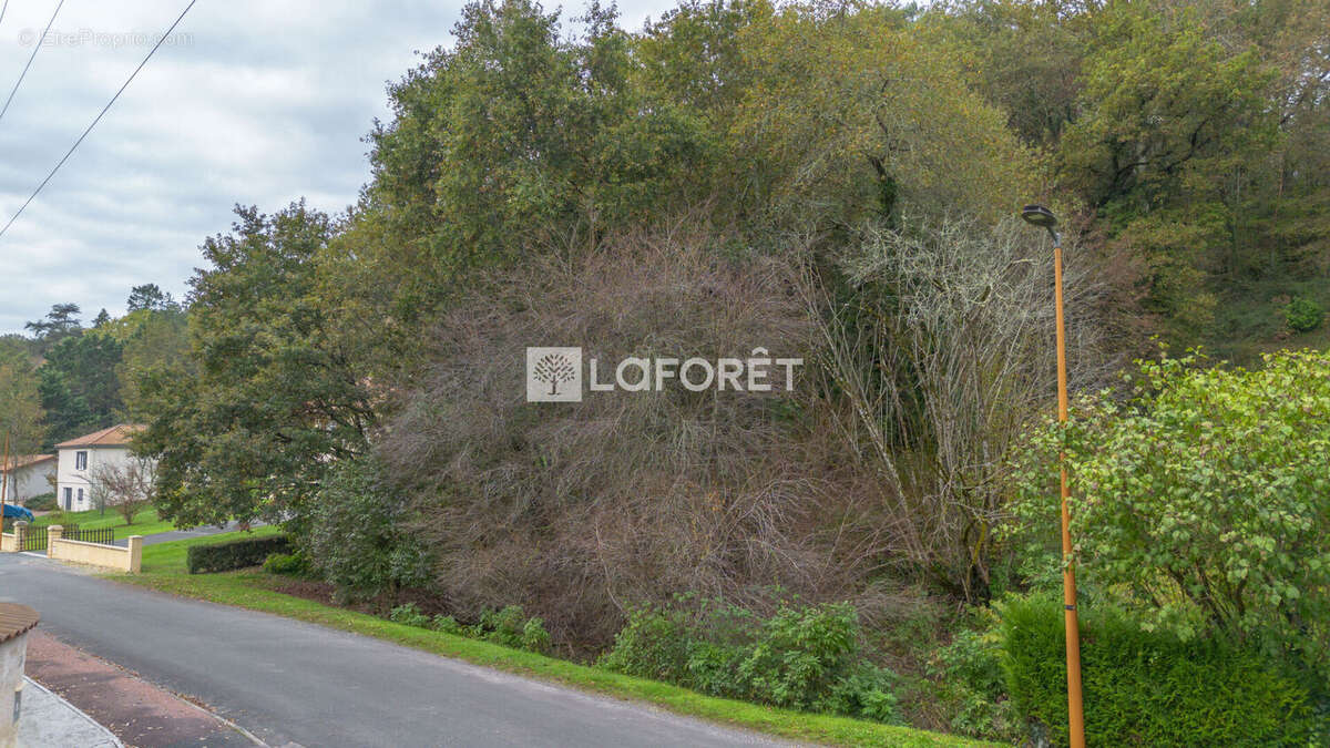 Terrain à CHAMPCEVINEL