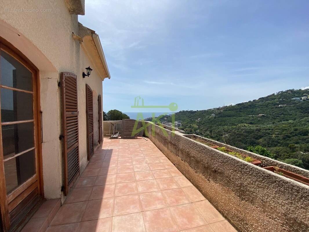 Maison à VILLE-DI-PIETRABUGNO