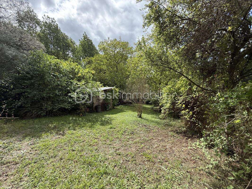 Appartement à LAROQUE-D'OLMES