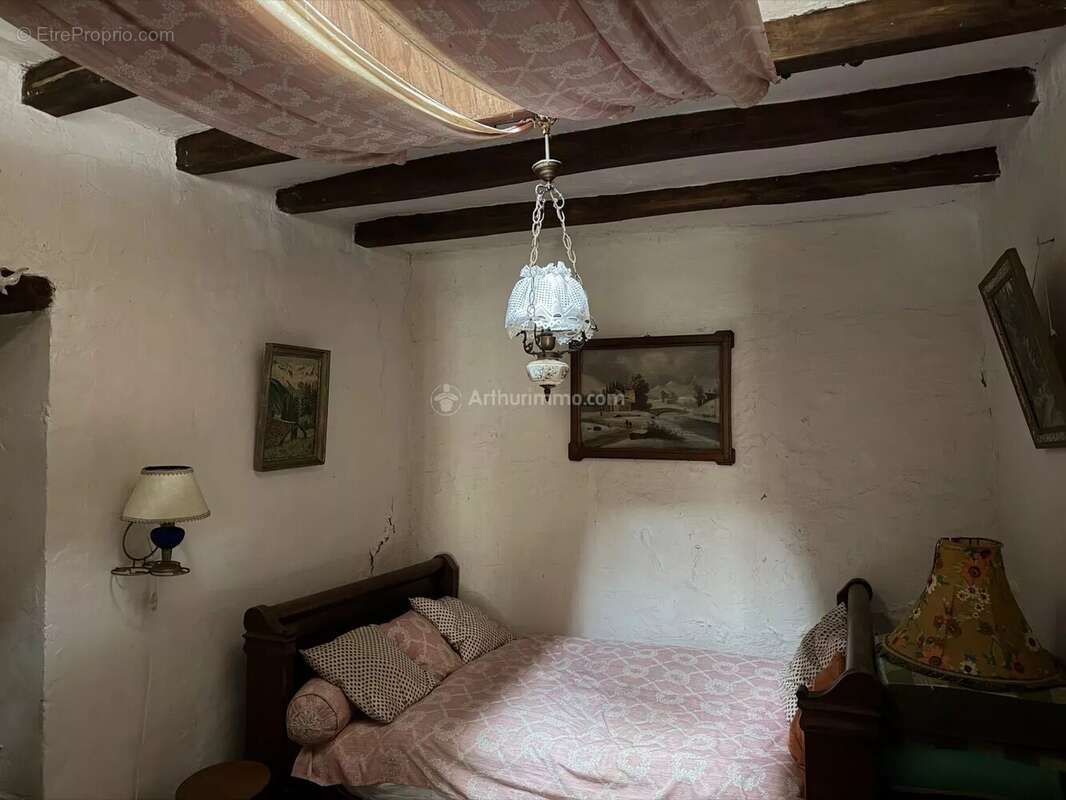 Maison à VILLEDIEU-LE-CHATEAU