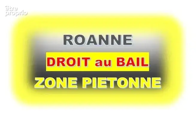 Commerce à ROANNE