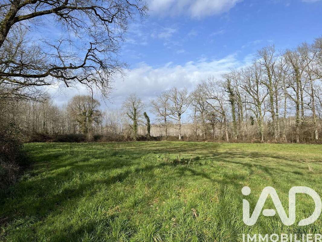 Terrain 132080 m² à Laree  - photo 6
