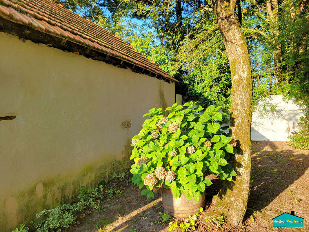 Maison à CHATEAUNEUF
