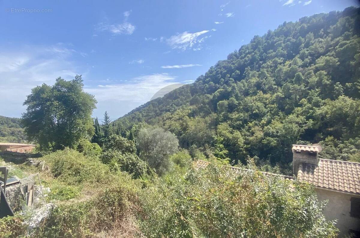 Terrain à GORBIO