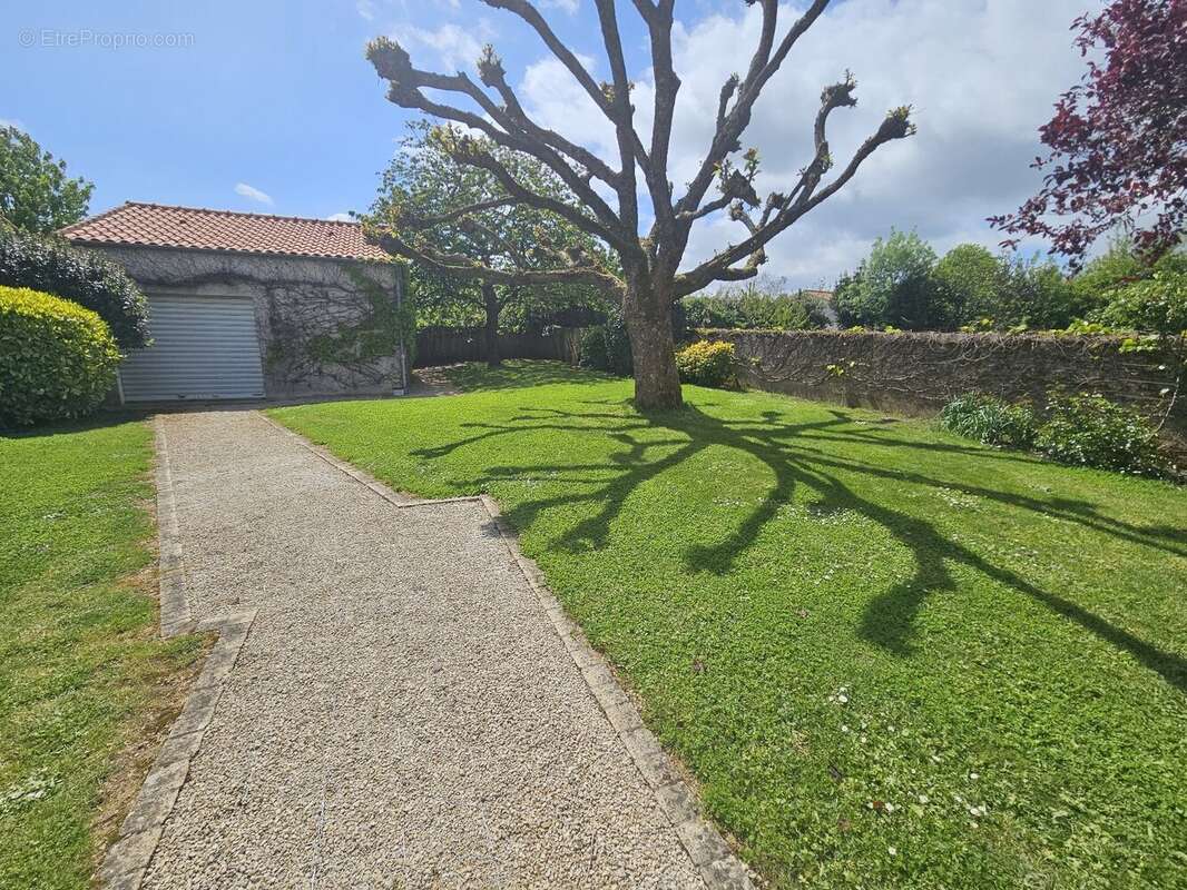 Maison à MONTAIGU
