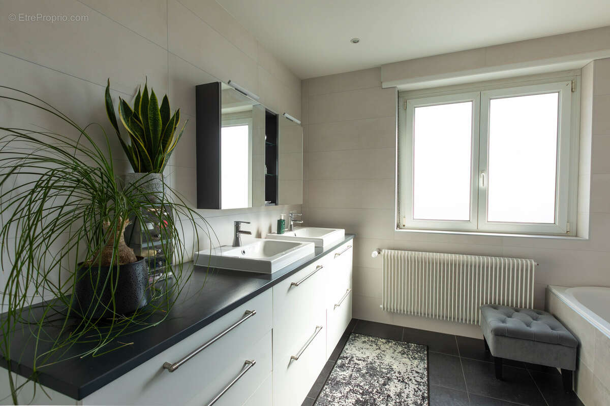 Autre à SCHILTIGHEIM