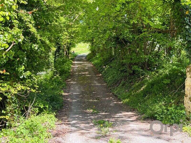 Maison à SAINT-CLAR