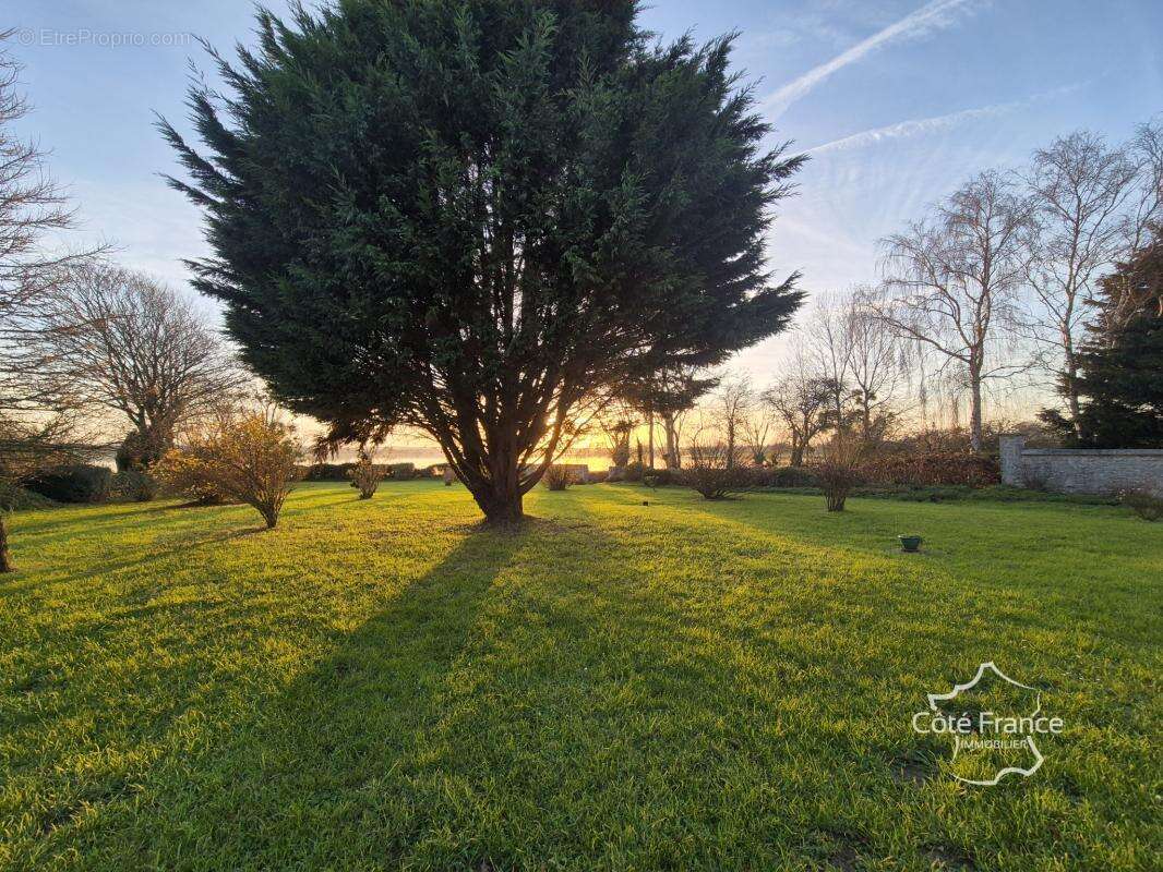 Maison à PICAUVILLE