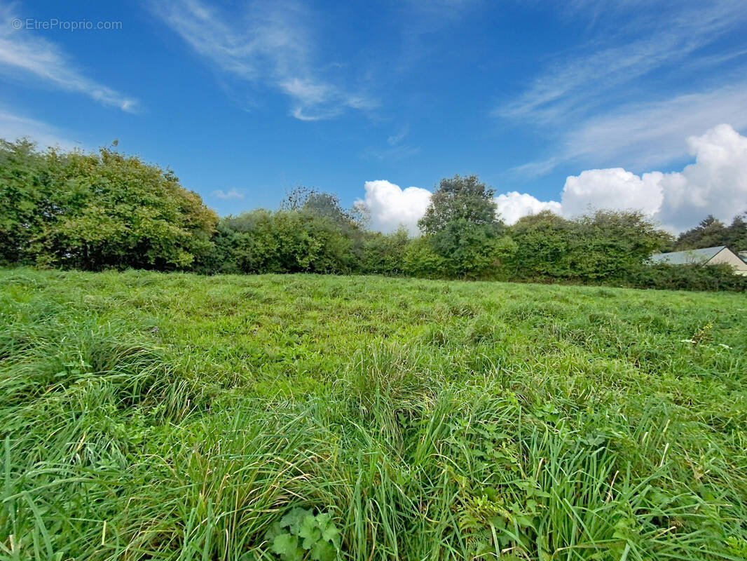 Terrain à VARENGUEBEC