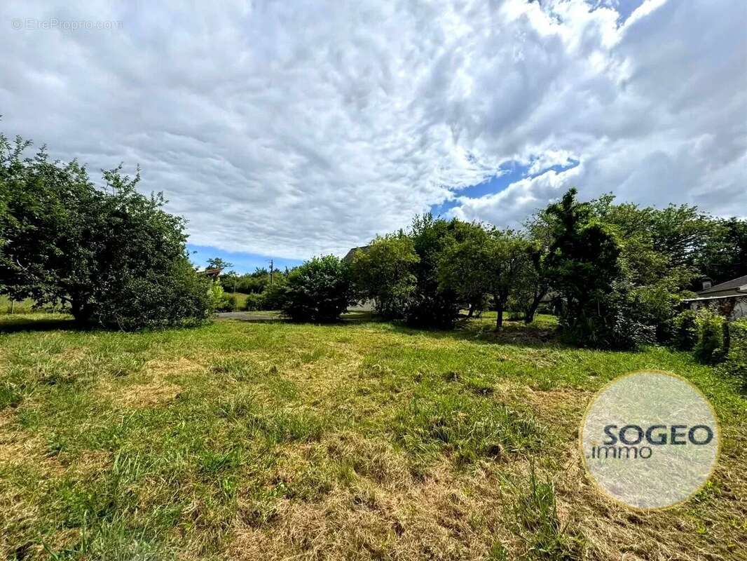Maison de 130m²/5 ch sur 1900m² au calme - photo 11