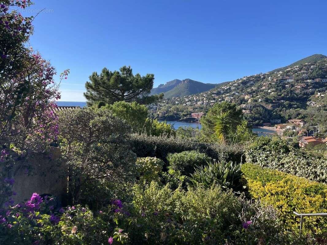 Appartement à THEOULE-SUR-MER