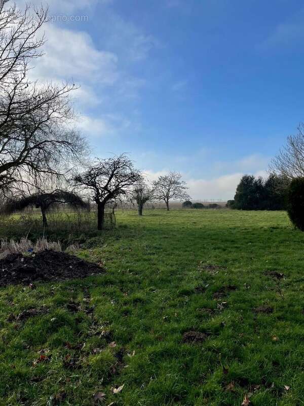 Terrain à LUZARCHES