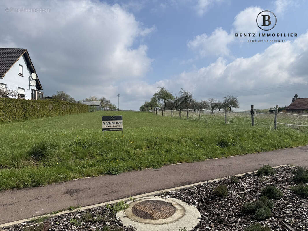 Terrain avec assainissement à proximité - Terrain à ASSWILLER