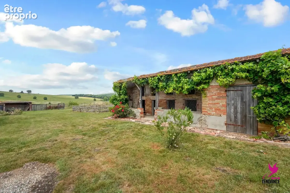 Ferme Toulousaine d'exception (250 m²) : Charme, confort énergétique & 1 ha de parc clos. - photo 15