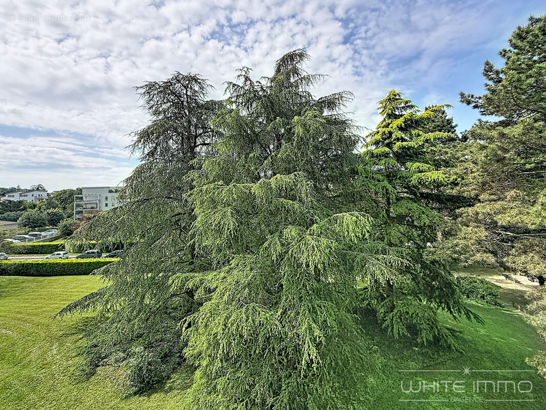 Appartement à SAINTE-FOY-LES-LYON