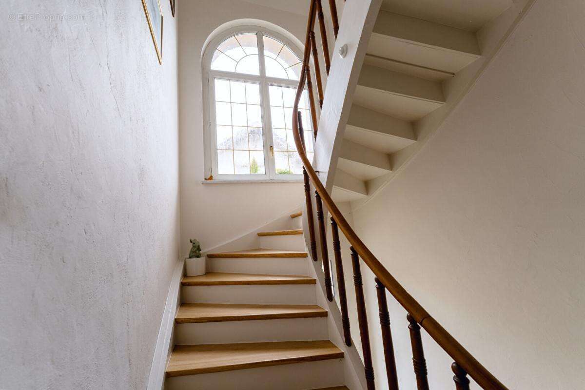 Maison Colmar 10 pièce(s) 250.75 m2 - photo 8