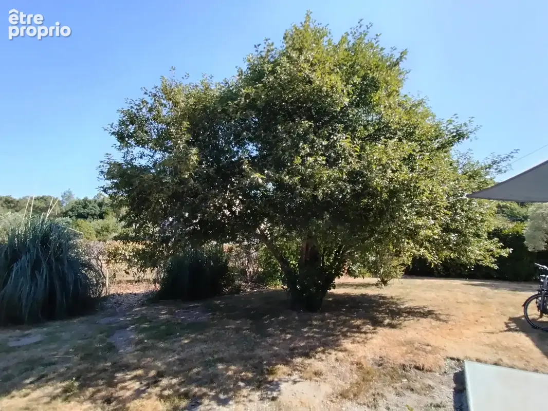Arradon / rare sur le marché - photo 4