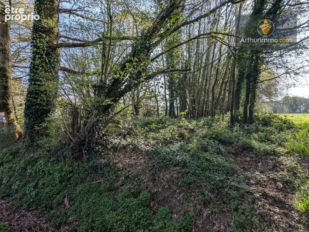 Vente Terrain Guehenno(56420) 15 000ï¿œ - photo 2