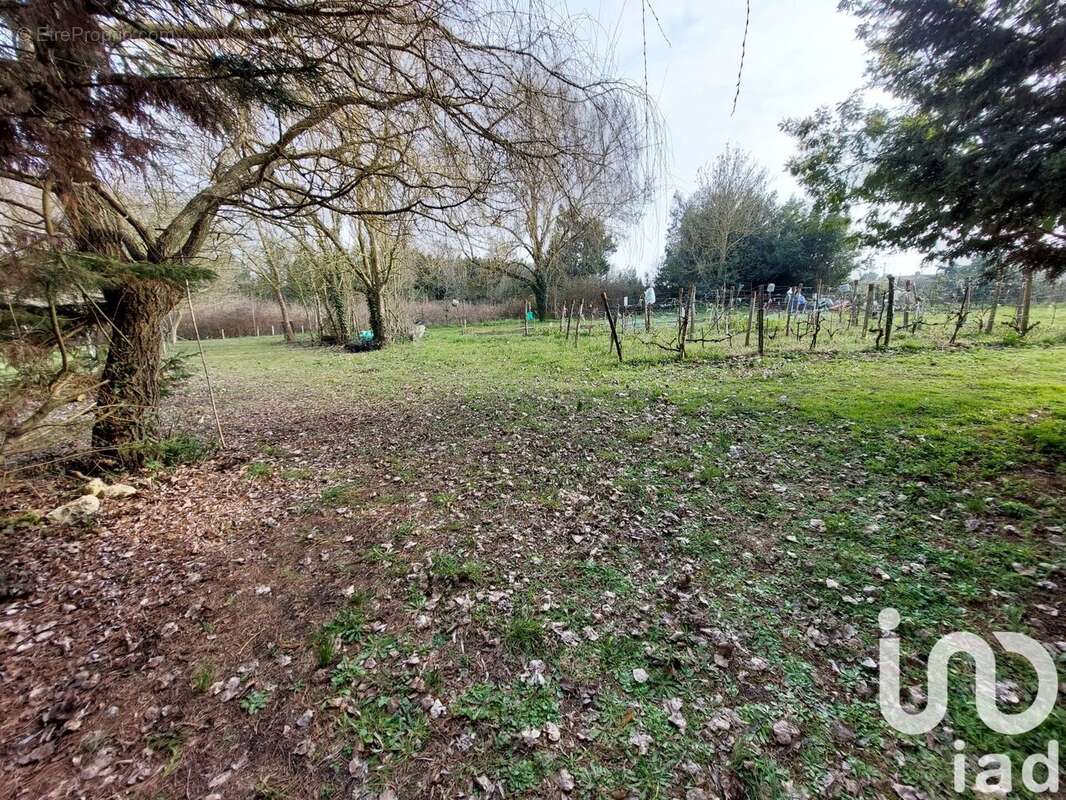 Photo 8 - Maison à MARENNES